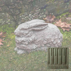 Campania Flemish Hare