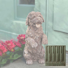 Campania Cooper