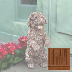 Campania Cooper