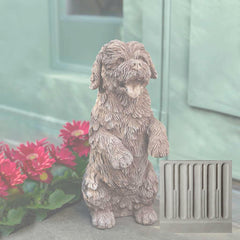 Campania Cooper