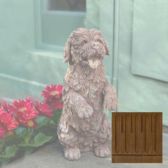 Campania Cooper