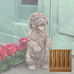 Campania Cooper