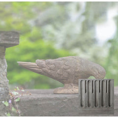 Campania French Dove