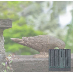 Campania French Dove