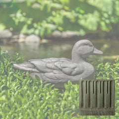 Campania Decoy Duck