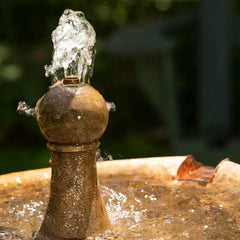 Campania Borghese in Basin Fountain