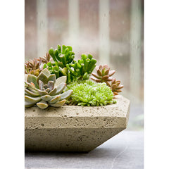 Campania Nyssa Planter