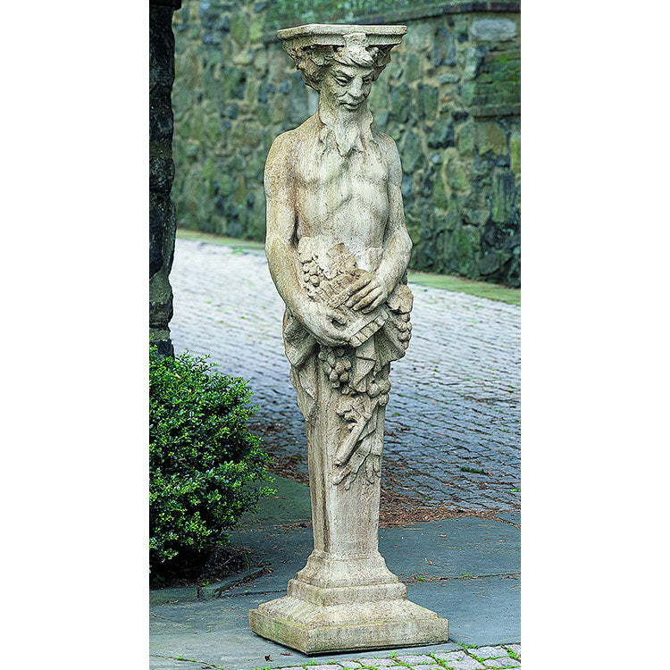 Photo of Campania Tall Satyr - Marquis Gardens