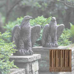 Campania Eagle Looking Left and Right