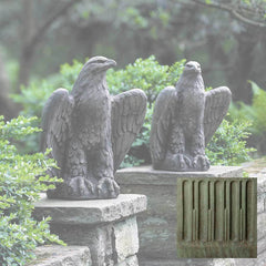 Campania Eagle Looking Left and Right