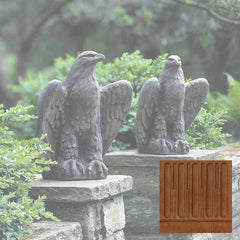 Campania Eagle Looking Left and Right