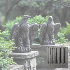 Campania Eagle Looking Left and Right