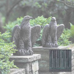 Campania Eagle Looking Left and Right