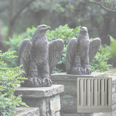 Campania Eagle Looking Left and Right