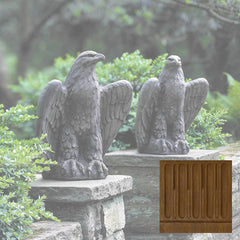 Campania Eagle Looking Left and Right