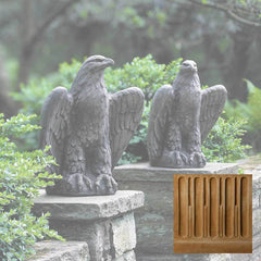 Campania Eagle Looking Left and Right