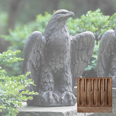 Campania Eagle Looking Left and Right