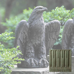 Campania Eagle Looking Left and Right
