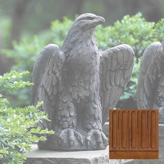 Campania Eagle Looking Left and Right