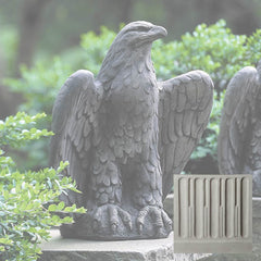 Campania Eagle Looking Left and Right