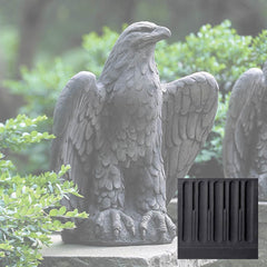 Campania Eagle Looking Left and Right