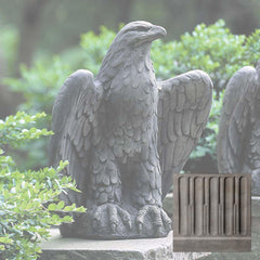 Campania Eagle Looking Left and Right