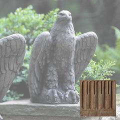 Campania Eagle Looking Left and Right
