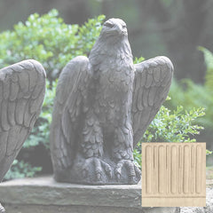 Campania Eagle Looking Left and Right