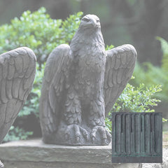Campania Eagle Looking Left and Right
