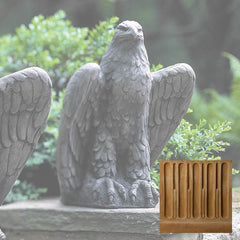 Campania Eagle Looking Left and Right