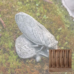 Campania Cicada