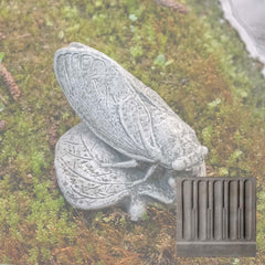 Campania Cicada