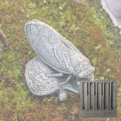 Campania Cicada