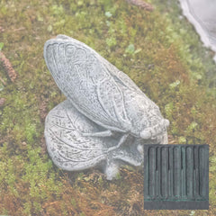 Campania Cicada