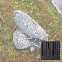 Campania Cicada