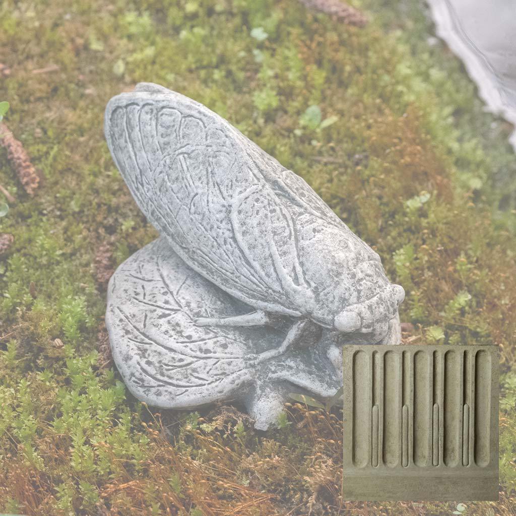 Campania Cicada