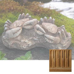 Campania Sea Crabs Fossil