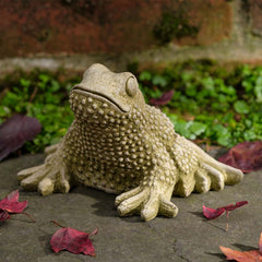 Campania Tommy Toad