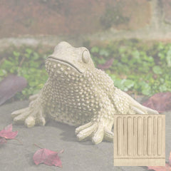 Campania Tommy Toad