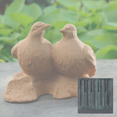 Campania Dos Palomas