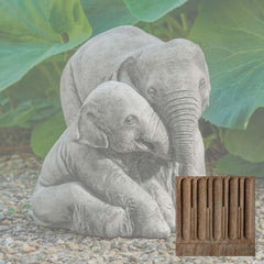 Elephant Mother and Child