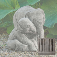 Elephant Mother and Child