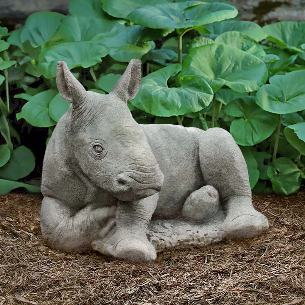 White Rhinoceros Calf