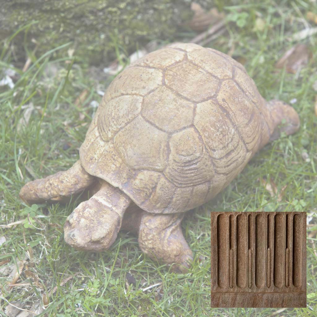 Campania Turtle
