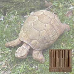 Campania Turtle