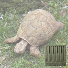 Campania Turtle