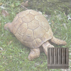 Campania Turtle