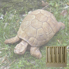 Campania Turtle