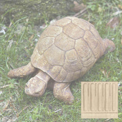 Campania Turtle