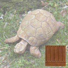 Campania Turtle